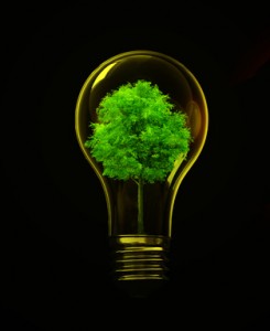 Ontario Government Invests $1.86 Million in Green Energy Project