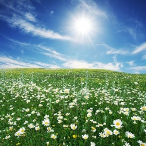 Ontario Communities Embrace Green Energy Act