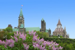 Prime Minister Harper Ignoring the Benefits of a Green Economy