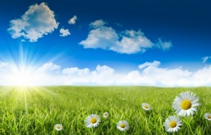 Ontario Represented at International Solar Energy Conference