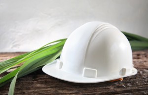 Ontario Solar Industry Benefits from Future Fund Grant