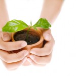 Canadian Bank Promotes Green Economy