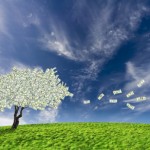 New Research Will Shape Future of Green Economy
