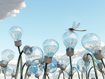 New Plant Will Bring Green Energy, Jobs to Ontario’s Green Economy